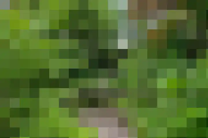 Horick 4 Ospel thumbnail 47