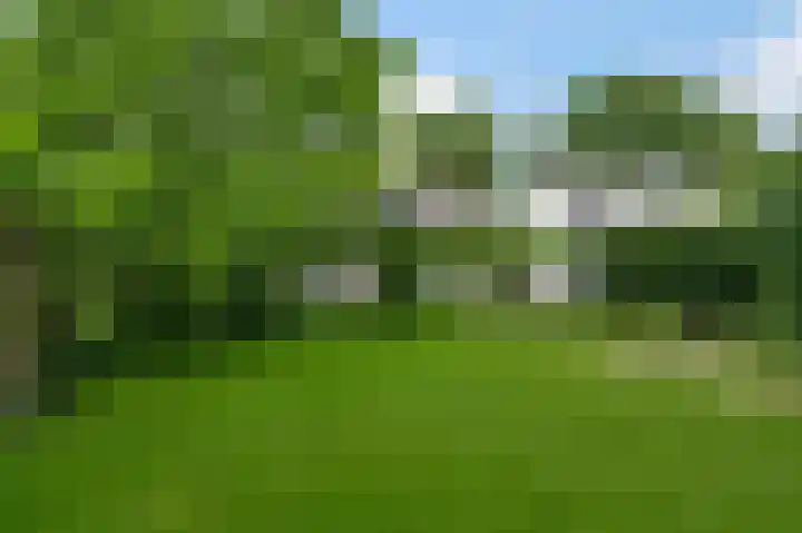 Horick 4 Ospel thumbnail 48