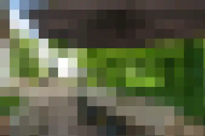 Horick 4 Ospel thumbnail 49
