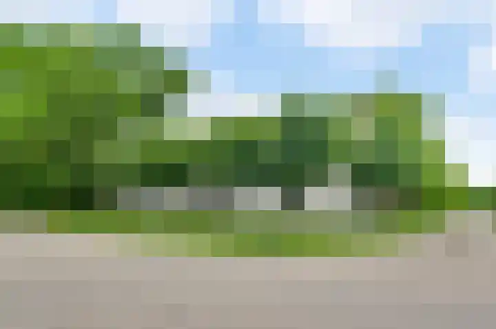 Horick 4 Ospel thumbnail 5