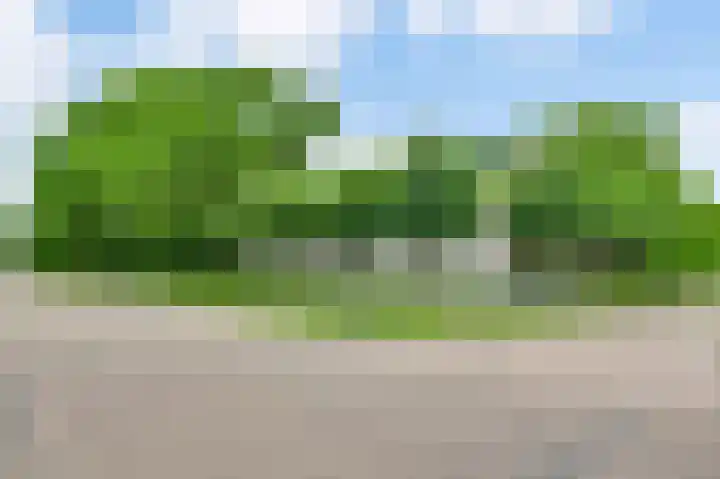 Horick 4 Ospel thumbnail 6