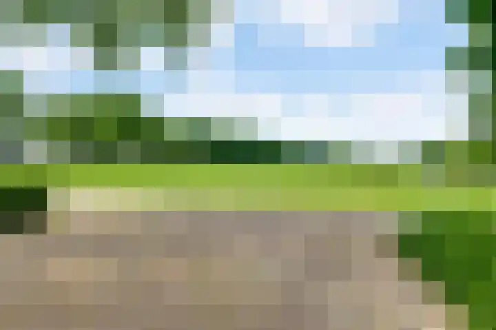 Horick 4 Ospel thumbnail 7