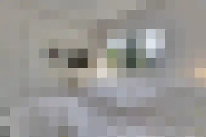 Horizonstraat 49 Brunssum thumbnail 25