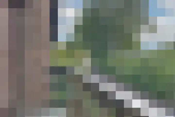Horizonstraat 49 Brunssum thumbnail 34