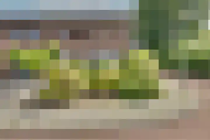 Horizonstraat 49 Brunssum thumbnail 44