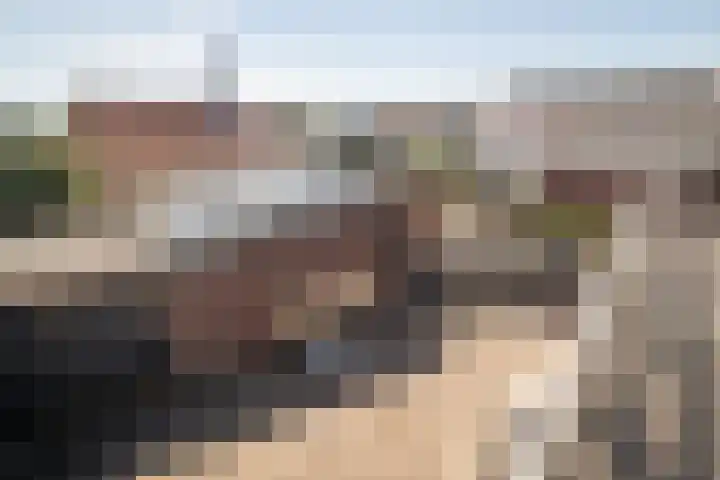 Horn 27 Lutjebroek thumbnail 29
