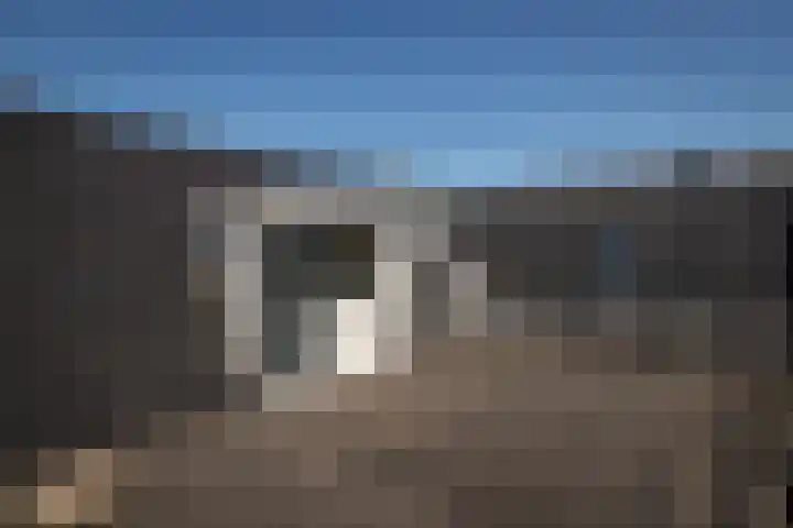 Horn 27 Lutjebroek thumbnail 31