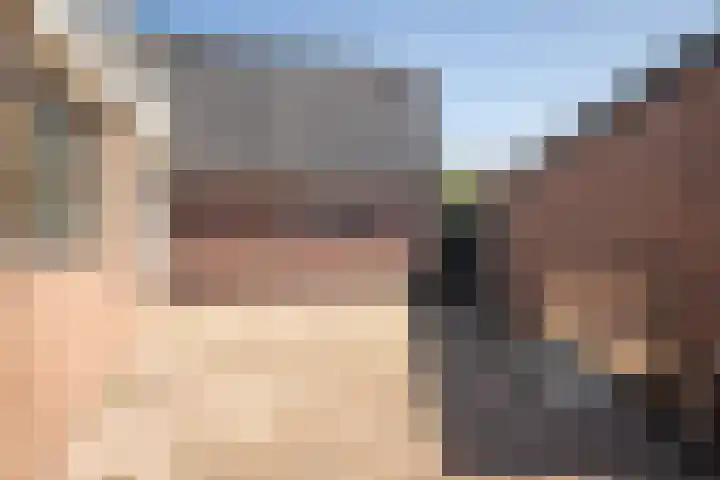 Horn 27 Lutjebroek thumbnail 34