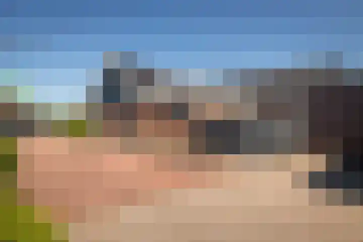 Horn 27 Lutjebroek thumbnail 37