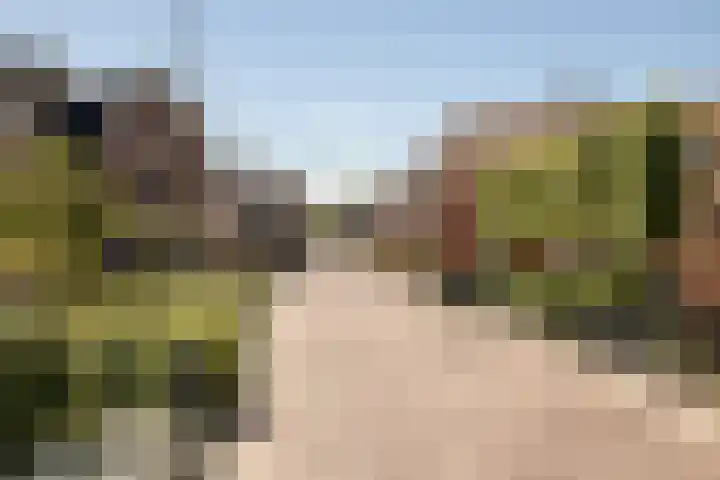 Horn 27 Lutjebroek thumbnail 42