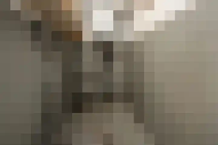 Horn 27 Lutjebroek thumbnail 7