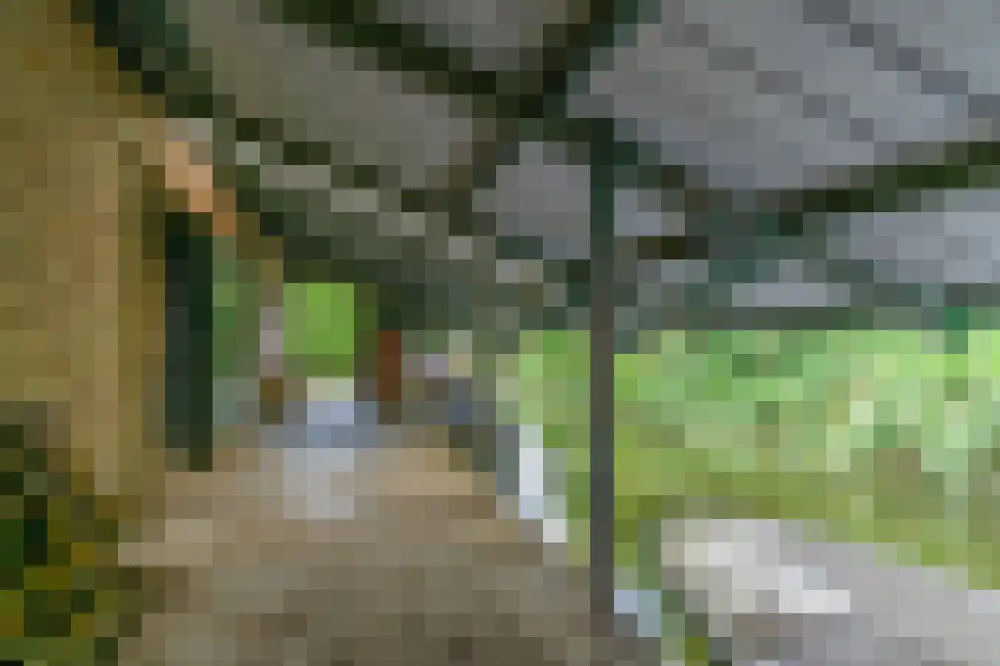 Horn 68 Lutjebroek thumbnail 5