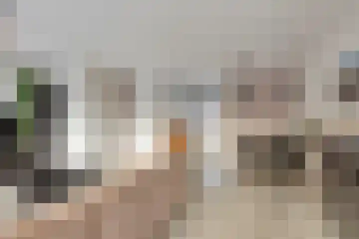 Hornikswei 36 Goes thumbnail 15