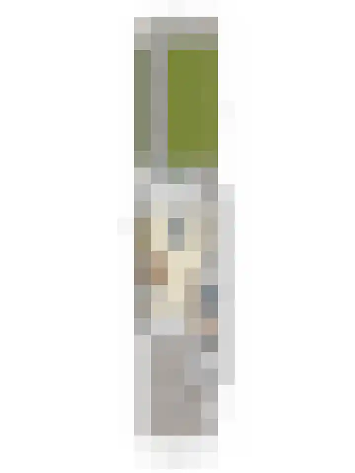 Hornikswei 36 Goes thumbnail 39