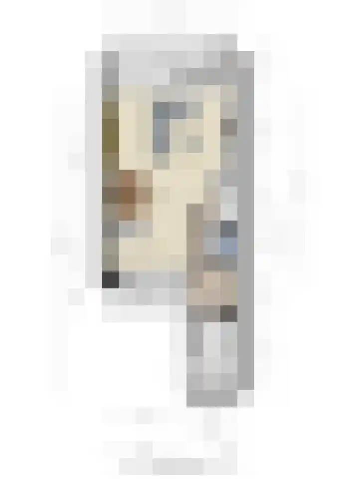 Hornikswei 36 Goes thumbnail 40