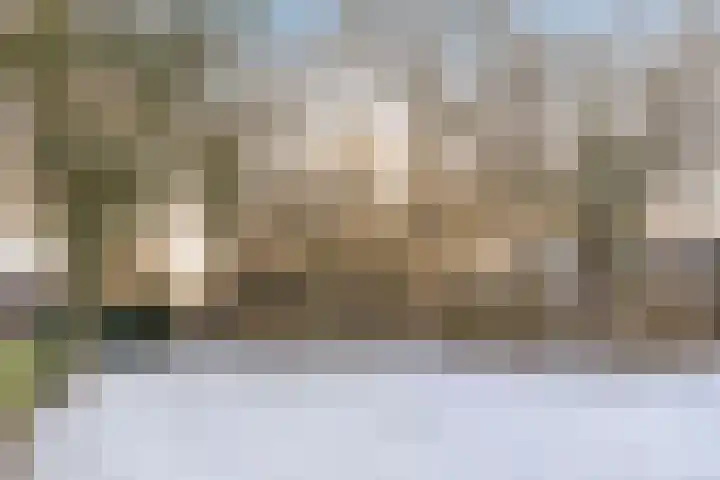 Hornikswei 36 Goes thumbnail 7