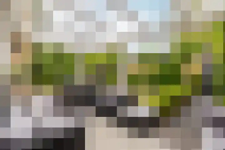 Hornstraat 2 Breda thumbnail 12