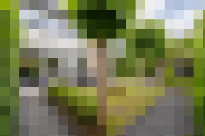 Hornstraat 2 Breda thumbnail 15