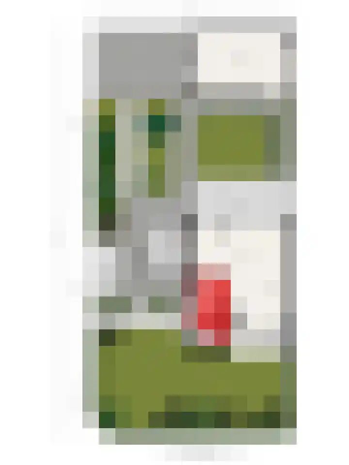 Hornstraat 2 Breda thumbnail 21