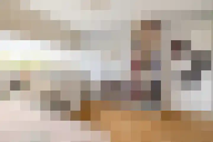 Hornstraat 2 Breda thumbnail 33