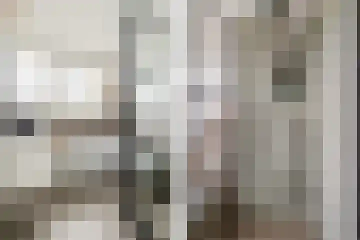 Hornstraat 2 Breda thumbnail 34