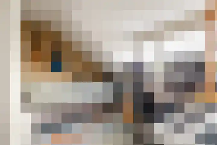 Hornstraat 2 Breda thumbnail 39