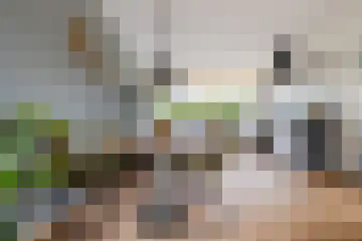 Hornstraat 2 Breda thumbnail 5