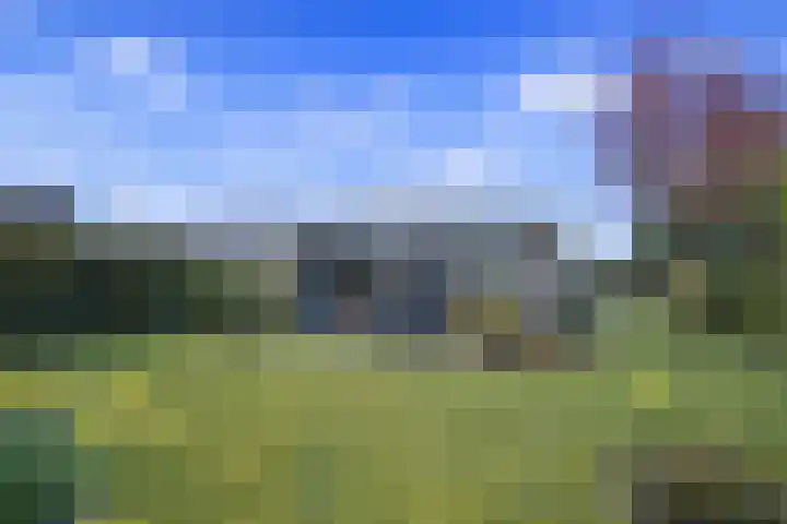 Horrelshoogte 59 Ouddorp thumbnail 11