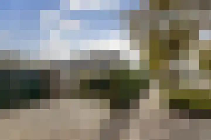 Horscamp 23 Harlingen thumbnail 33