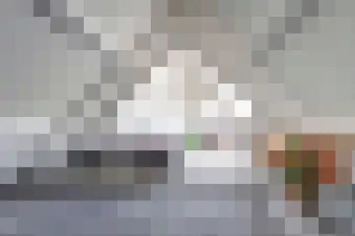 Horscamp 9 Harlingen thumbnail 30
