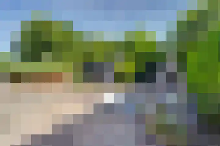 Horscamp 9 Harlingen thumbnail 33