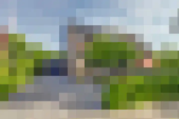 Horscamp 9 Harlingen thumbnail 35
