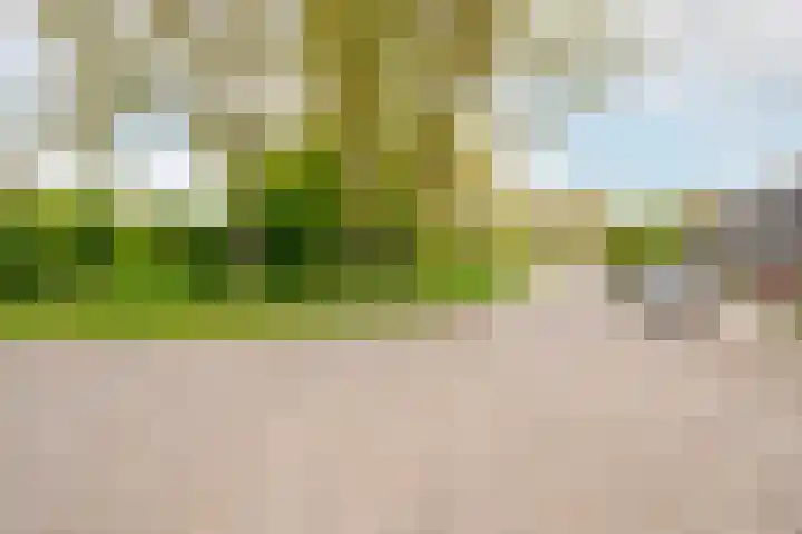 Horst 10 10 29 Lelystad thumbnail 33