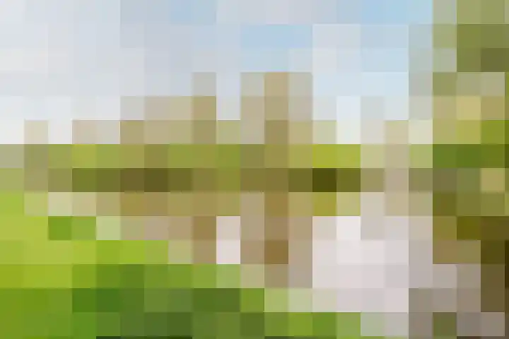 Horst 10 10 29 Lelystad thumbnail 36