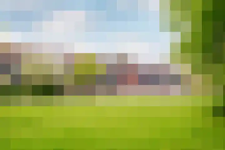 Horst 10 10 29 Lelystad thumbnail 5
