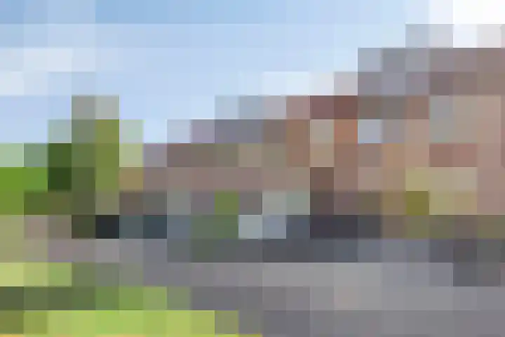 Horst 15 15 4 Lelystad thumbnail 30