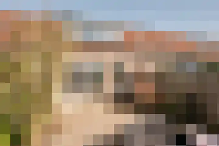 Horst 15 15 52 Lelystad thumbnail 34