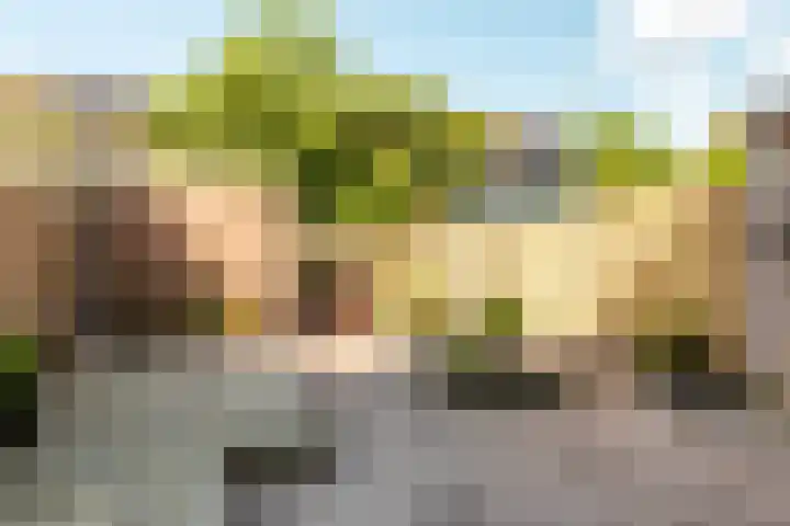 Horst 20 20 20 Lelystad thumbnail 25