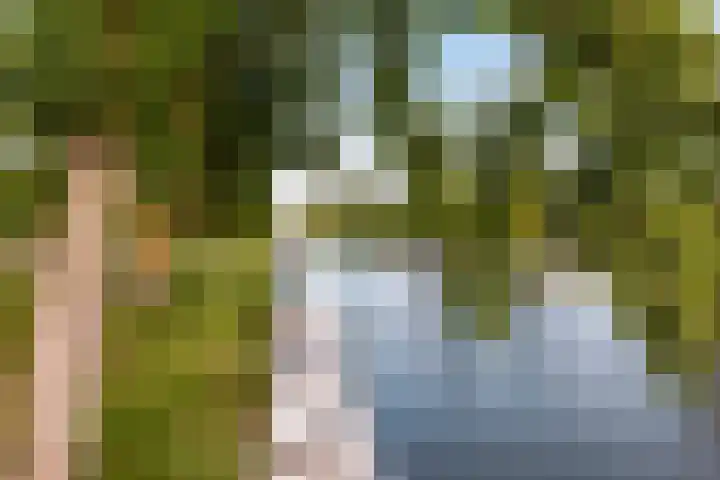 Horst 20 20 20 Lelystad thumbnail 27