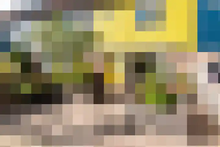 Horst 20 20 20 Lelystad thumbnail 4