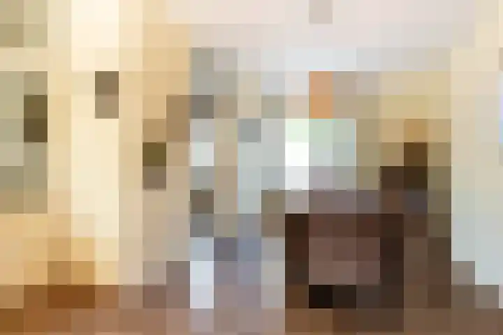 Horst 20 20 20 Lelystad thumbnail 8