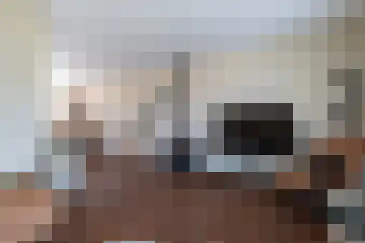 Horst 22 22 49 Lelystad thumbnail 22
