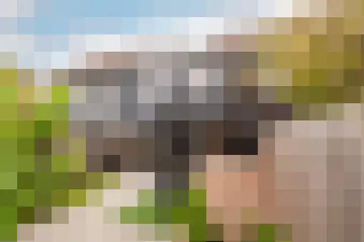 Horst 22 22 73 Lelystad thumbnail 51