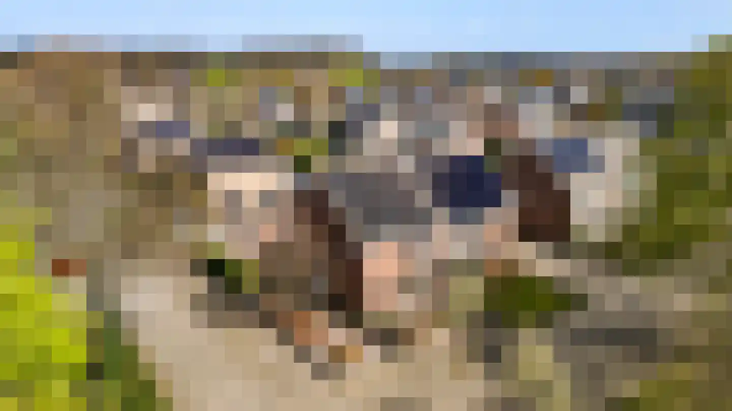 Horst 22 22 73 Lelystad thumbnail 69