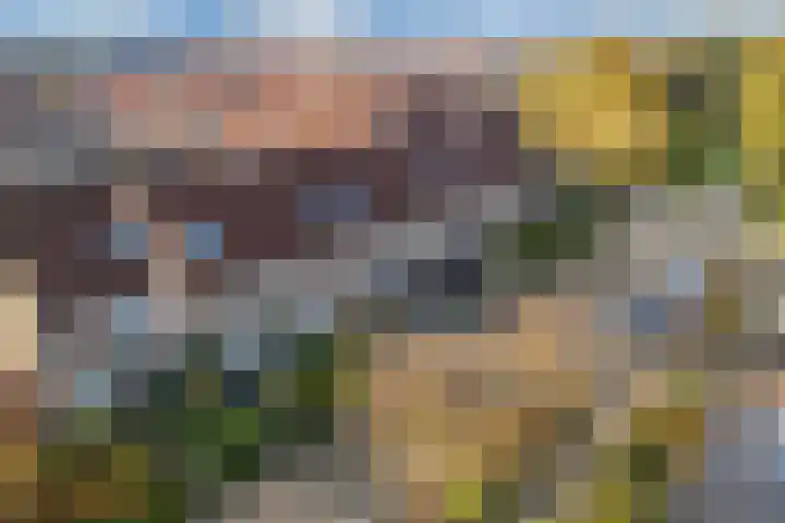 Horst 33 33 58 Lelystad thumbnail 5