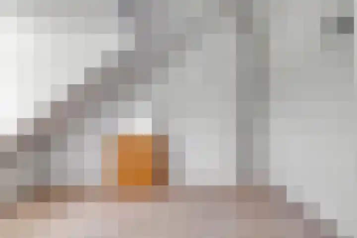Horst 34 Chaam thumbnail 23