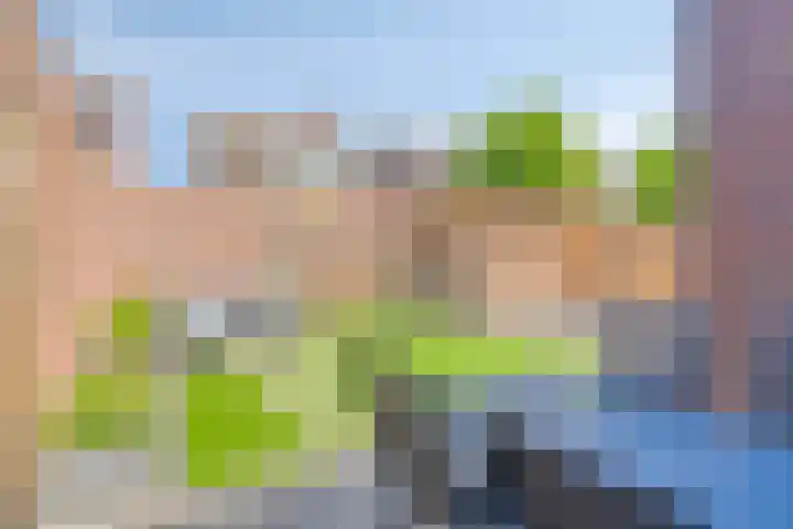 Horst 34 Chaam thumbnail 25