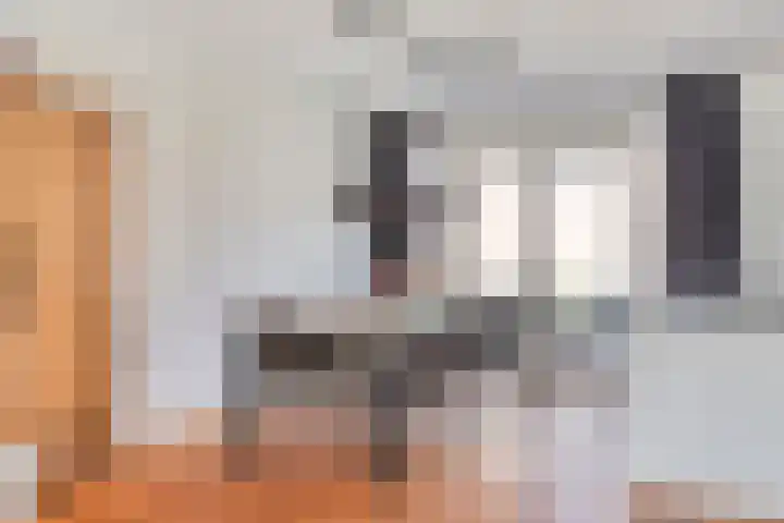 Horst 34 Chaam thumbnail 6