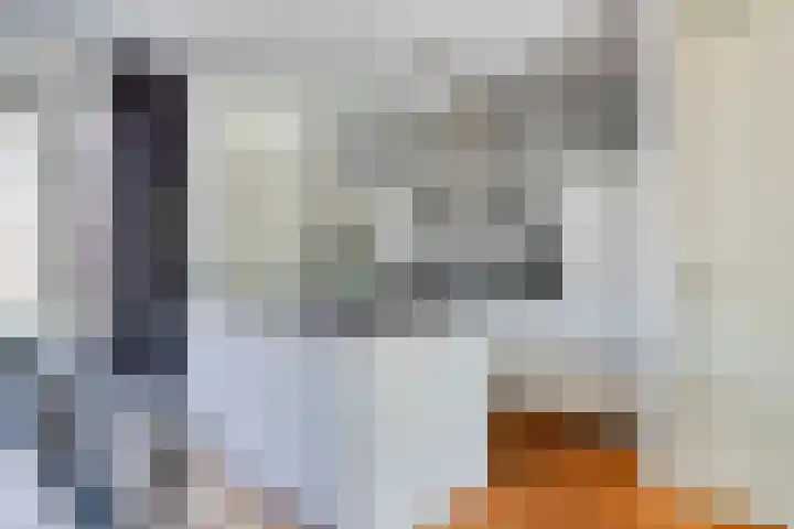 Horst 34 Chaam thumbnail 8