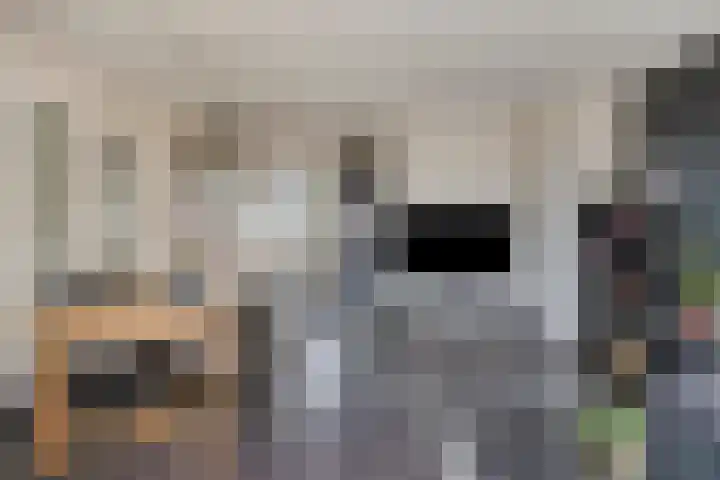Horst 46 Veldhoven thumbnail 8